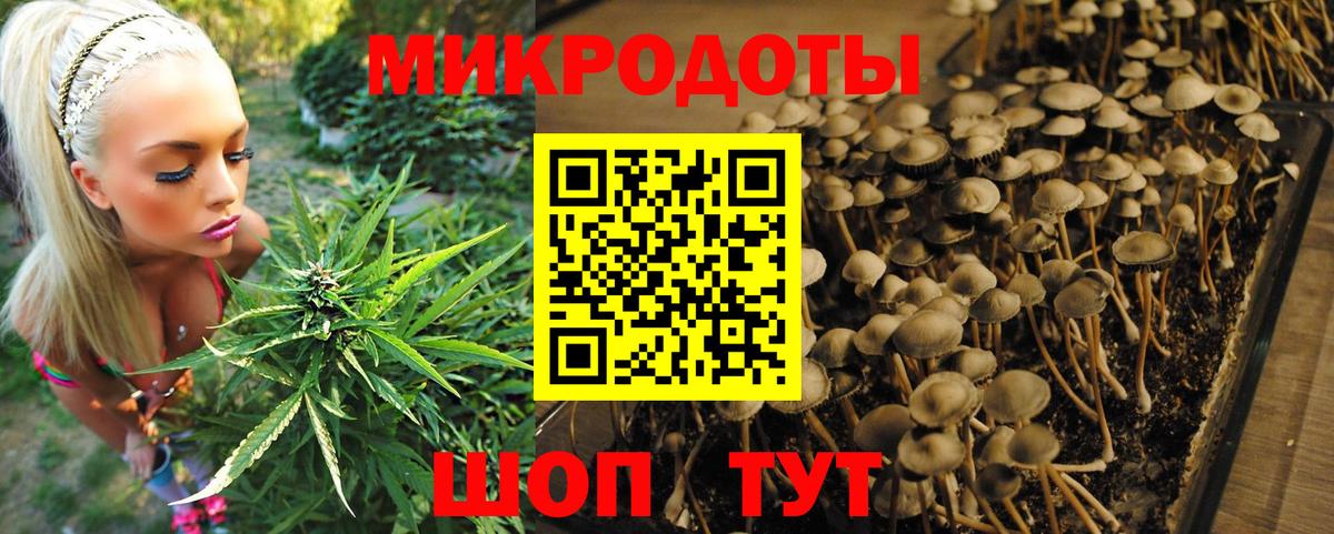 где купить наркоту  Вход с VPN  Кирово-Чепецк  Галлюциногенные грибы MAGIC MUSHROOMS 